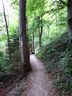 Wanderweg am Hang